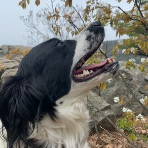 Meet your Posher, Kate